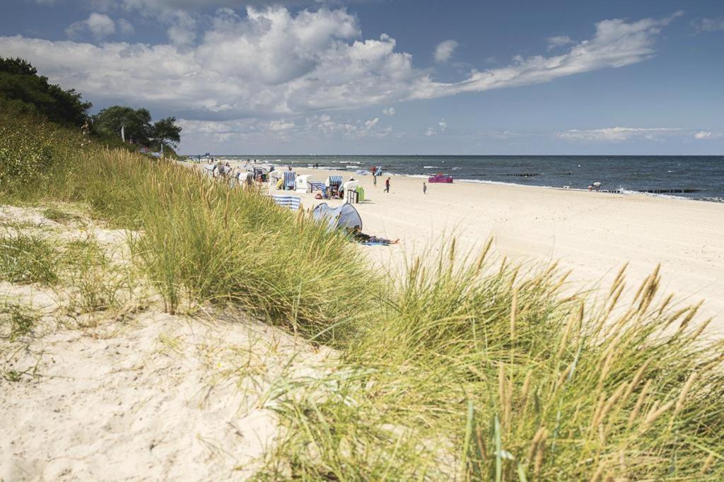 Tor Zum - Neubau Mit Sauna, Fahrstuhl Und Tiefgarage * Kuehlungsborn